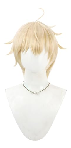 TTYAO REII Herren Anime Cosplay Perücke Blond Kurz Glatt Synthetische Perücke Hitzebeständig Kostüm Haar für Halloween von TTYAO REII