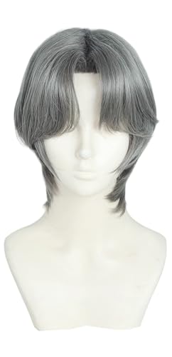 TTYAO REII Herren Anime Cosplay Perücke Grau Kurz Glatt Synthetische Perücke Mittelteil Kostüm Haar für Halloween Party von TTYAO REII