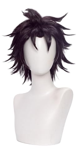 TTYAO REII Herren-Cosplay-Perücke, dunkelviolett, kurzes Haar mit Pony, synthetische hitzebeständige Perücke für Party von TTYAO REII