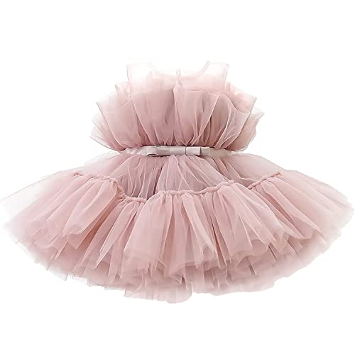 TTYAOVO Baby Mädchen Geburtstag Party Tutu Prinzessin Bowknot Kleid Brautkleid Größe120 (4-5 Jahre) 766 Rosa von TTYAOVO