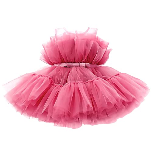 TTYAOVO Baby Mädchen Geburtstag Party Tutu Prinzessin Bowknot Kleid Brautkleid Größe80 (6-12 Monate) 766 Rosa Rot von TTYAOVO