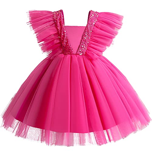 TTYAOVO Mädchen Festzug Prinzessin Geburtstag Tutu Kleid Größe (100) 2-3 Jahre 738 Rose von TTYAOVO