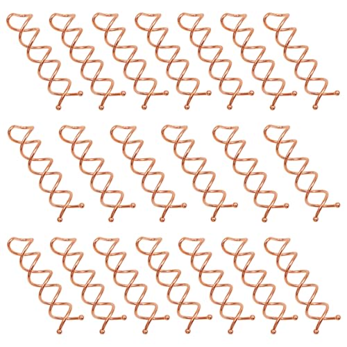 TUUXI 20 Stück Spirale Haarspange 5cm Roségold Spiral Bobby Pins Twist Spin Haar Clip Brötchen Haarnadel Metall Haarschmuck für Damen Mädchen DIY Haarstyling TUUXI 20 Stück Spirale Haarspange 5cm Roségold Spiral Bobby Pins Twist Spin Haar Clip Brötchen Haarnadel Metall Haarschmuck für Damen Mädchen DIY Haarstyling von TUUXI