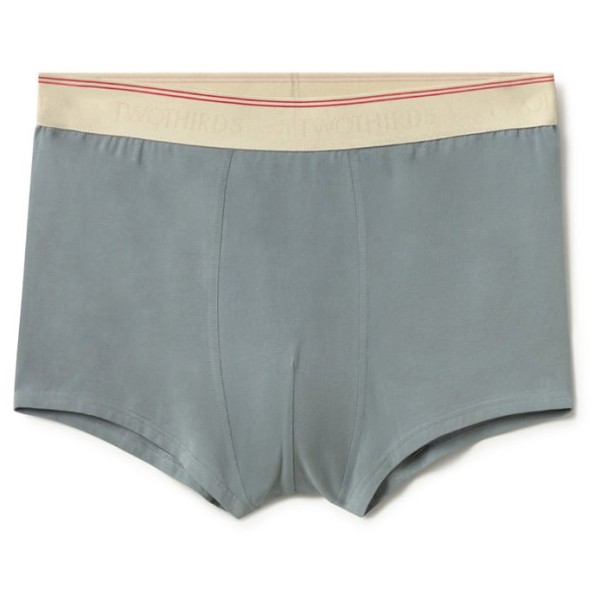 TWOTHIRDS - Robbins - Unterhose Gr S grau von TWOTHIRDS