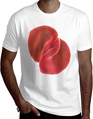 Men Scratch My Back Peter Gabriel Combed Crew Neck Short Sleeve T Shirt Printing Top Tees Hemden(Large) von TY@FERDSA