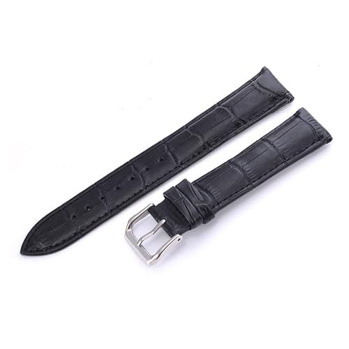 TYLDBNF 12 14 16 18 20 22mm Uhrengurt echte Uhren -Uhr -Uhr -Accessoires Leder Uhrengurt Gurtbänder (grau, 12 mm) von TYLDBNF