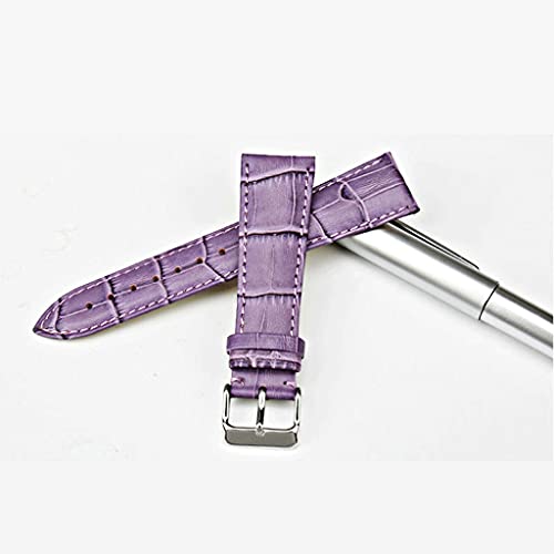TYLDBNF Fashion Watchbänder echtes Leder-Uhrengurt 12mm-22mm für Frauen Watch Band für Uhrenarmband (Weißdinosaurier Doodle4,12mm) von TYLDBNF