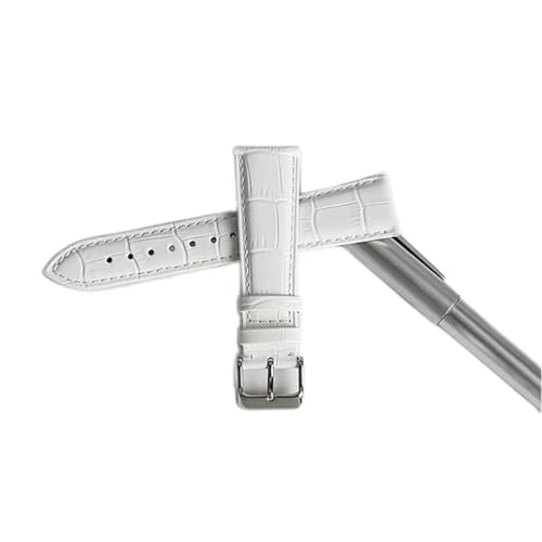 TYLDBNF Fashion Watchbänder echtes Leder-Uhrengurt 12mm-22mm für Frauen Watch Band für Uhrenarmband (Weißdinosaurier Doodle4,12mm) von TYLDBNF