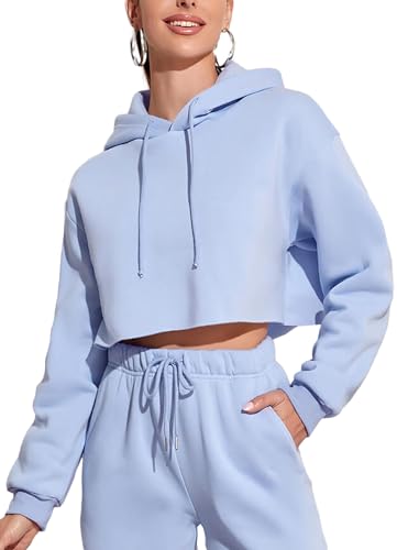 TZLDN Damen Y2k Zip Up Hoodie mit Reißverschluss Oversize Pullover Crop Sweatshirt ohne Kapuze Stehkragen Pulli Langarm Elegant Shirts #3 Hellblau M von TZLDN