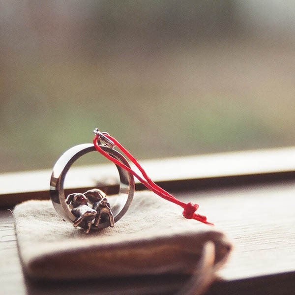 Silber Hundehalskette Sonnenuntergang Bandring, Glückliche Hunde | 20 Mm Silber Hundehalskette Sonnenuntergang Bandring, Glückliche Hunde | 20 Mm von TadashiKoizumi