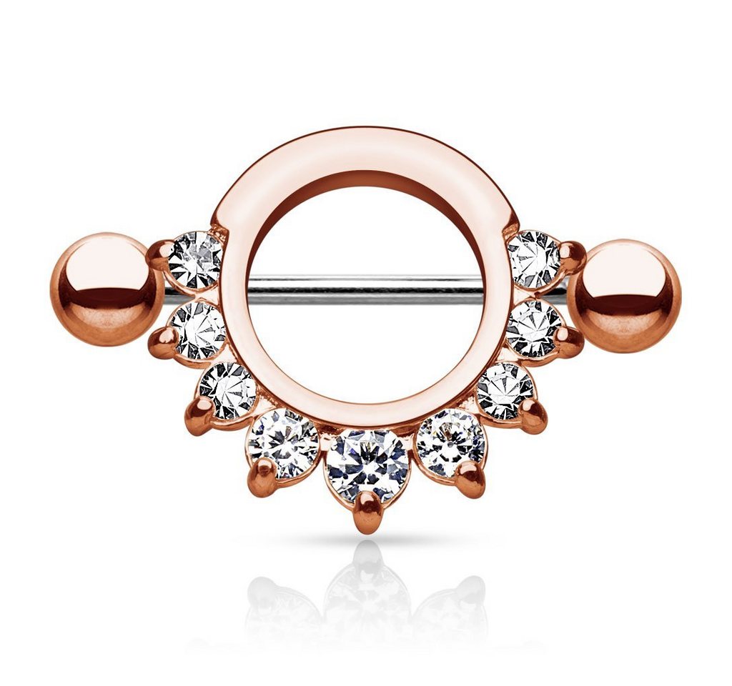 Taffstyle Intimpiercing Intim Brust Intimpiercing Schild mit Kristallen, Intim Brust Intimpiercing Schild mit Kristalle von Taffstyle