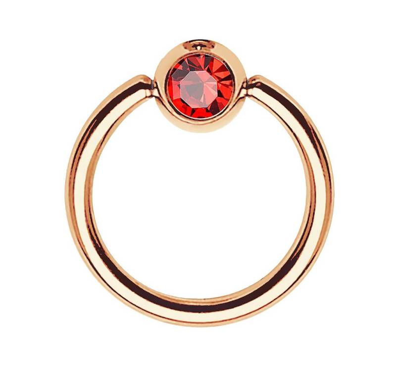 Taffstyle Nasenpiercing BCR Klemmring Tragus Universal Ring Roségold Rot 1,2mm x 8mm x 3mm (Tragus Helix Orbital Brust Intim Piercing Lippenbädchen Lippenpiercing), Intimpiercing Nasenpiercing Nasenring Nase Ohrpiercing Cartilage Ohr von Taffstyle