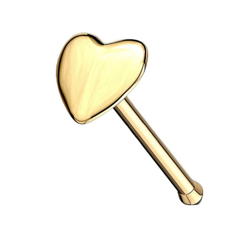 Taffstyle Nasenpiercing Echt Gold 14 Karat Nasenstecker Nasenpiercing Herz, Piercing Stab Stecker Barbell Nase Nasenstecker Tragus Helix Ohr Lippe von Taffstyle