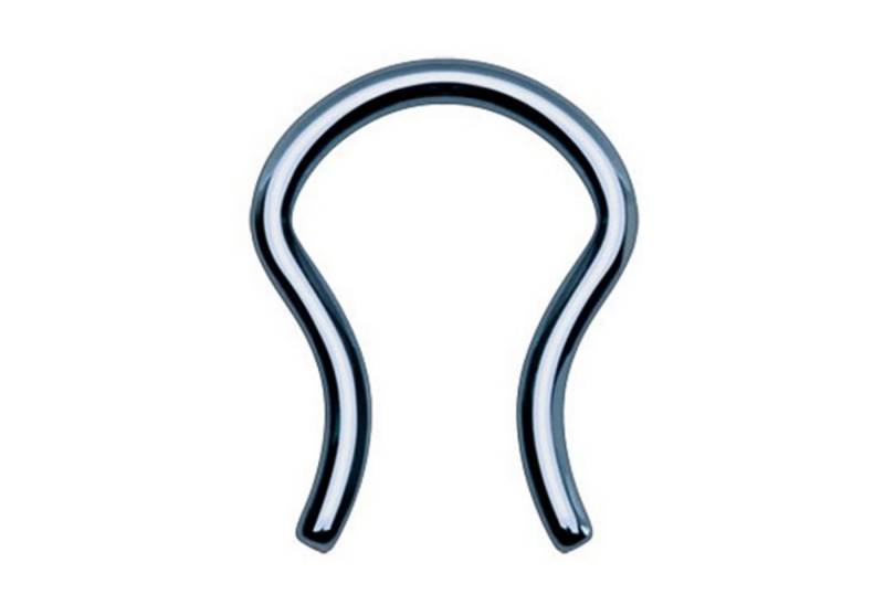 Taffstyle Nasenpiercing Fake Piercing Retainer gebogen Ring Lippe Intim, Septum Tragus Helix Nase Nasenpiercing Ohrpiercing Hufeisen Horseshoe von Taffstyle