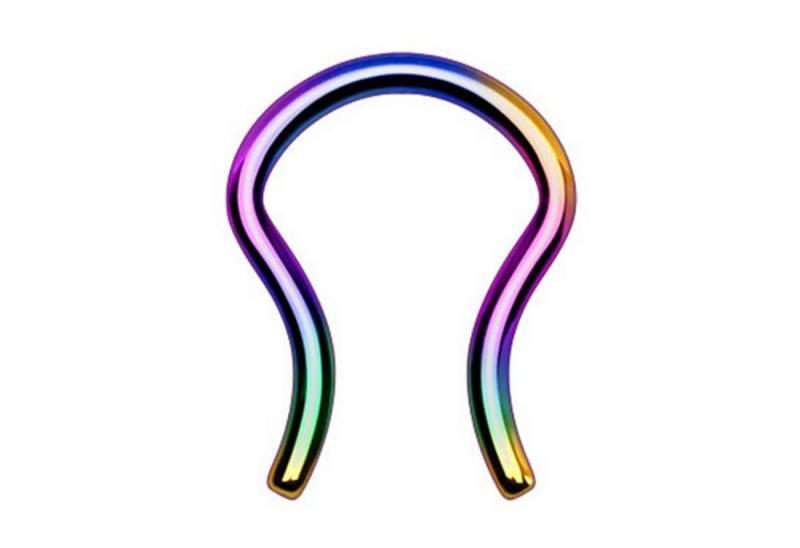 Taffstyle Nasenpiercing Fake Piercing Retainer gebogen Ring Lippe Intim, Septum Tragus Helix Nase Nasenpiercing Ohrpiercing Hufeisen Horseshoe von Taffstyle