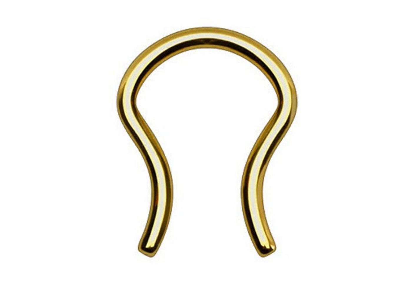 Taffstyle Nasenpiercing Fake Piercing Retainer gebogen Ring Lippe Intim, Septum Tragus Helix Nase Nasenpiercing Ohrpiercing Hufeisen Horseshoe Taffstyle Nasenpiercing Fake Piercing Retainer gebogen Ring Lippe Intim, Septum Tragus Helix Nase Nasenpiercing Ohrpiercing Hufeisen Horseshoe von Taffstyle