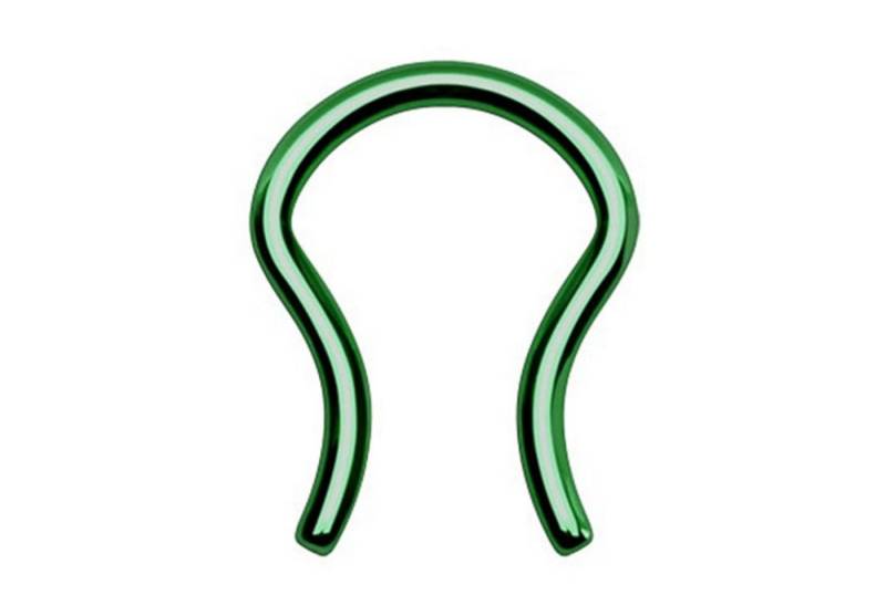 Taffstyle Nasenpiercing Fake Piercing Retainer gebogen Ring Lippe Intim, Septum Tragus Helix Nase Nasenpiercing Ohrpiercing Hufeisen Horseshoe von Taffstyle