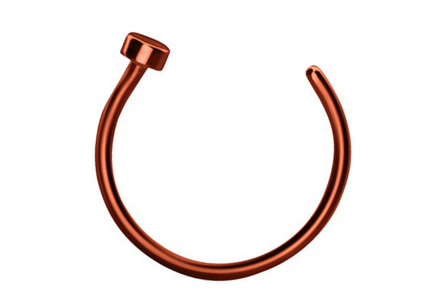 Taffstyle Nasenpiercing Fake Ring Piercing Hoop Septum Lippe Brust Intim, Nasenpiercing Nasenring Hoop Clip On Tragus Helix Ohr Nase Ohrpiercing Taffstyle Nasenpiercing Fake Ring Piercing Hoop Septum Lippe Brust Intim, Nasenpiercing Nasenring Hoop Clip On Tragus Helix Ohr Nase Ohrpiercing von Taffstyle