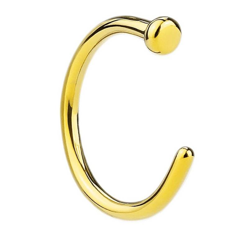 Taffstyle Nasenpiercing Fake Ring Piercing Hoop Septum Lippe Brust Intim, Nasenpiercing Nasenring Hoop Clip On Tragus Helix Ohr Nase Ohrpiercing von Taffstyle