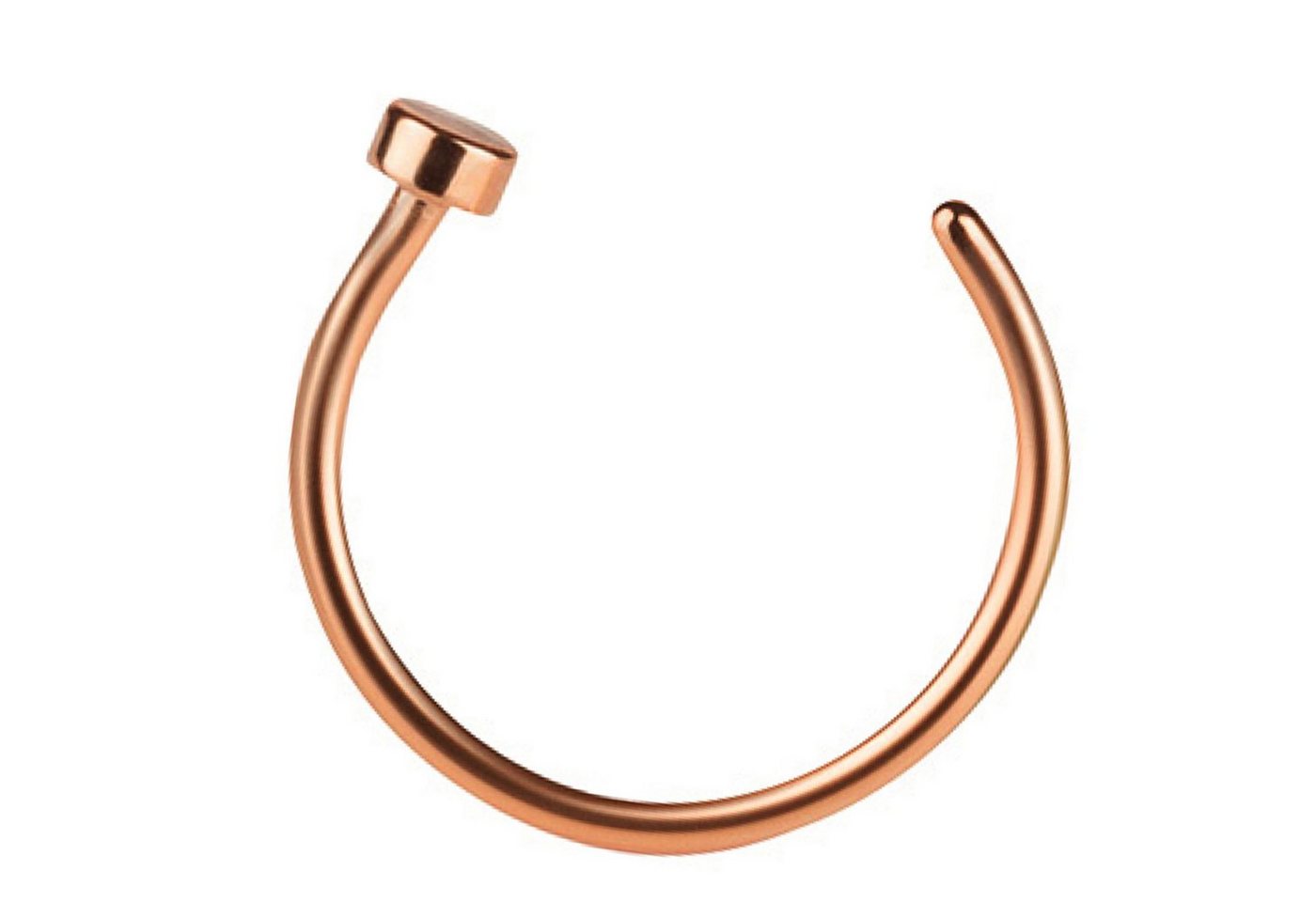 Taffstyle Nasenpiercing Fake Ring Piercing Hoop Septum Lippe Brust Intim, Nasenpiercing Nasenring Hoop Clip On Tragus Helix Ohr Nase Ohrpiercing Taffstyle Nasenpiercing Fake Ring Piercing Hoop Septum Lippe Brust Intim, Nasenpiercing Nasenring Hoop Clip On Tragus Helix Ohr Nase Ohrpiercing von Taffstyle