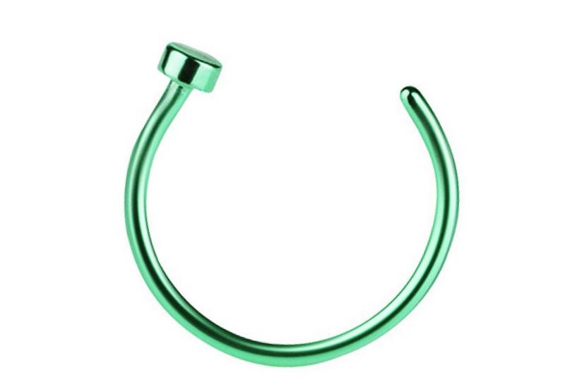 Taffstyle Nasenpiercing Fake Ring Piercing Hoop Septum Lippe Brust Intim, Nasenpiercing Nasenring Hoop Clip On Tragus Helix Ohr Nase Ohrpiercing von Taffstyle