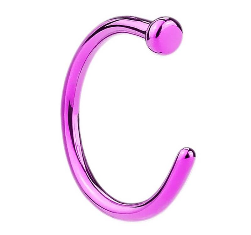 Taffstyle Nasenpiercing Fake Ring Piercing Hoop Septum Lippe Brust Intim, Nasenpiercing Nasenring Hoop Clip On Tragus Helix Ohr Nase Ohrpiercing von Taffstyle
