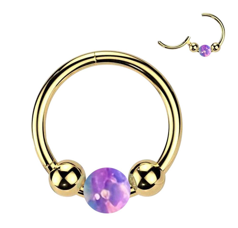 Taffstyle Nasenpiercing Helix Piercing Clicker Ring Septum Tragus Conch Daith Opal Segment (Nasenpiercing Nasenring Nase Ohrpiercing Cartilage Ohr Tragus Helix Orbital Augenbraue Intim Piercing Ring Lippenpiercing), mit Scharnier Taffstyle Nasenpiercing Helix Piercing Clicker Ring Septum Tragus Conch Daith Opal Segment (Nasenpiercing Nasenring Nase Ohrpiercing Cartilage Ohr Tragus Helix Orbital Augenbraue Intim Piercing Ring Lippenpiercing), mit Scharnier von Taffstyle