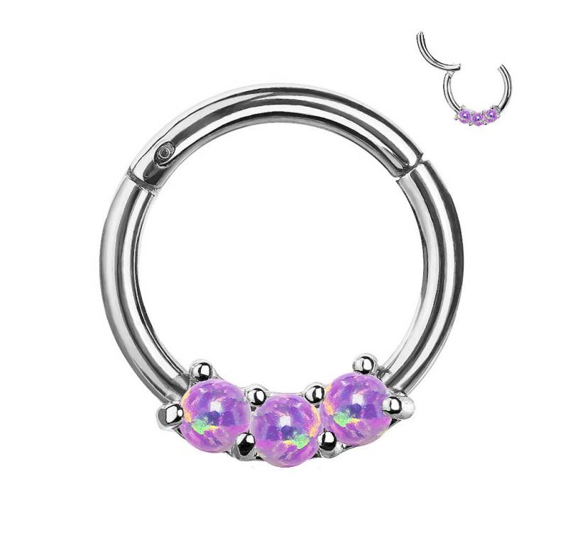 Taffstyle Nasenpiercing Piercing Clicker Scharnier mit Opal, Segment Glitzer Stein Septum Tragus Helix Lippe Nasenpiercing Knorpe von Taffstyle