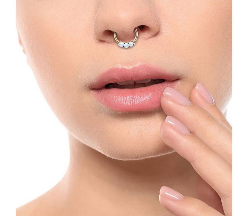 Taffstyle Nasenpiercing Piercing Clicker Scharnier mit Opal, Segment Glitzer Stein Septum Tragus Helix Lippe Nasenpiercing Knorpe von Taffstyle