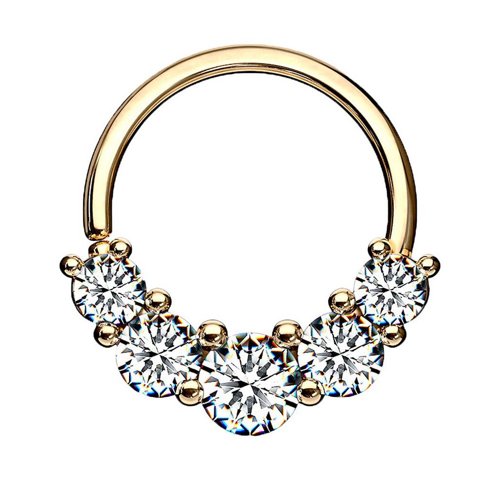 Taffstyle Nasenpiercing Piercing Continuous Ohr Knorpel Ring 5 Kristalle, Ring Glitzer Septum Tragus Helix Nase Lippe Nasenring Ohr Knorpel von Taffstyle