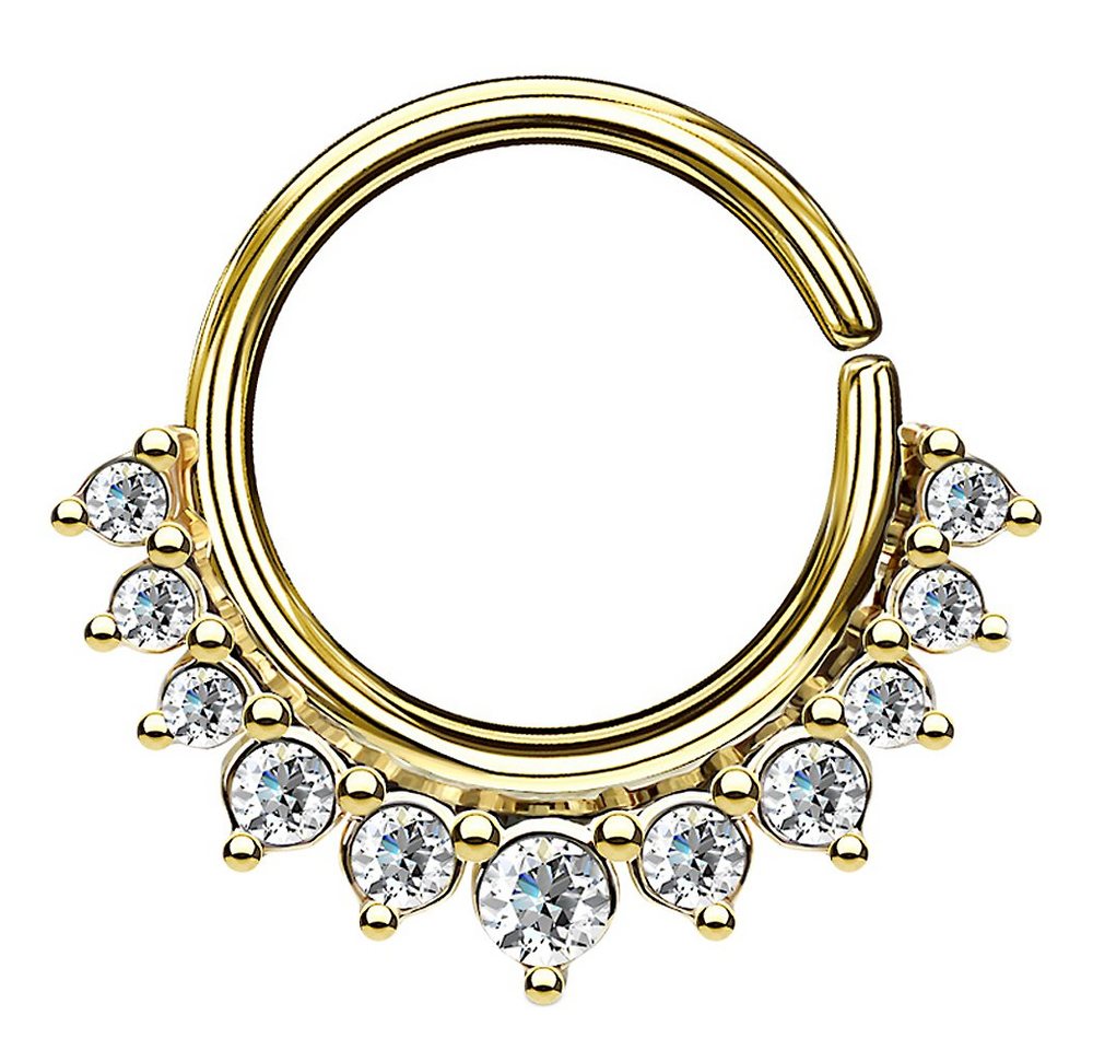 Taffstyle Nasenpiercing Piercing Continuous Vintage Kristall Ring Ohr Nase, Piercing Ring Nase Lippe Brust Intim Septum Helix Hufeisen Horseshoe Taffstyle Nasenpiercing Piercing Continuous Vintage Kristall Ring Ohr Nase, Piercing Ring Nase Lippe Brust Intim Septum Helix Hufeisen Horseshoe von Taffstyle