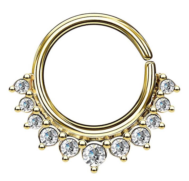 Taffstyle Nasenpiercing Piercing Continuous Vintage Kristall Ring Ohr Nase, Piercing Ring Nase Lippe Brust Intim Septum Helix Hufeisen Horseshoe von Taffstyle