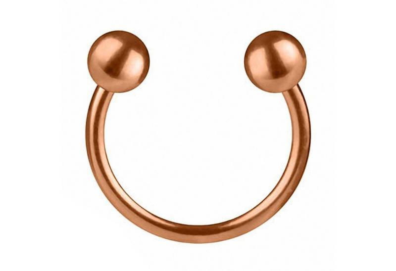 Taffstyle Nasenpiercing Piercing Edelstahl Brust Helix Intim mit Kugeln, Hufeisen Ring Horseshoe Nippel Lippe Nase Septum Tragus Ohr Helix von Taffstyle