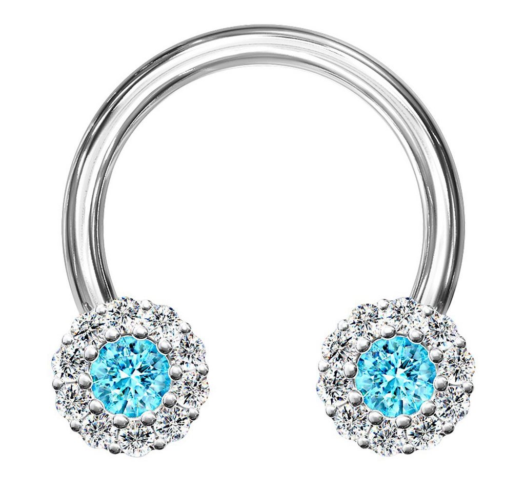 Taffstyle Nasenpiercing Piercing Hufeisen Kristall Blüten Horseshoe, Glitzer Blüten Septum Tragus Helix Ohr Nase Lippe Nasenpiercing Ring Taffstyle Nasenpiercing Piercing Hufeisen Kristall Blüten Horseshoe, Glitzer Blüten Septum Tragus Helix Ohr Nase Lippe Nasenpiercing Ring von Taffstyle