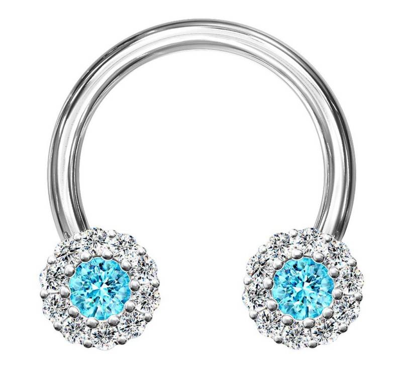 Taffstyle Nasenpiercing Piercing Hufeisen Kristall Blüten Horseshoe, Glitzer Blüten Septum Tragus Helix Ohr Nase Lippe Nasenpiercing Ring von Taffstyle
