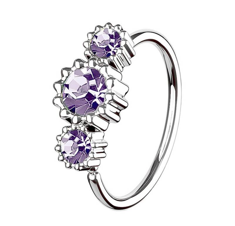 Taffstyle Nasenpiercing Piercing Ring Continuous mit 3 Strass Kristallen, Ohr Nase Lippe Brust Intim Septum Tragus Helix Hufeisen Horseshoe von Taffstyle