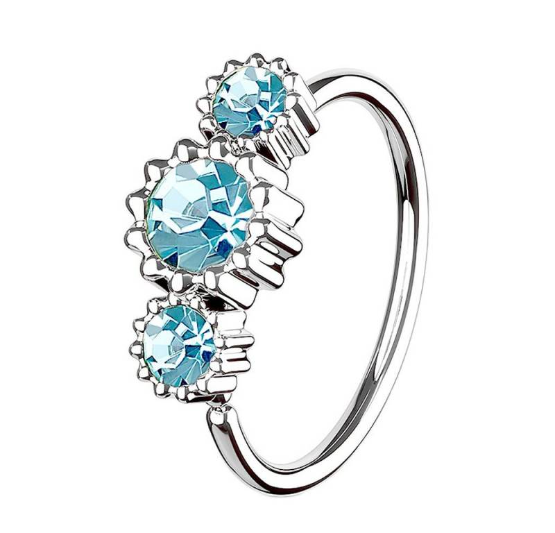 Taffstyle Nasenpiercing Piercing Ring Continuous mit 3 Strass Kristallen, Ohr Nase Lippe Brust Intim Septum Tragus Helix Hufeisen Horseshoe Taffstyle Nasenpiercing Piercing Ring Continuous mit 3 Strass Kristallen, Ohr Nase Lippe Brust Intim Septum Tragus Helix Hufeisen Horseshoe von Taffstyle