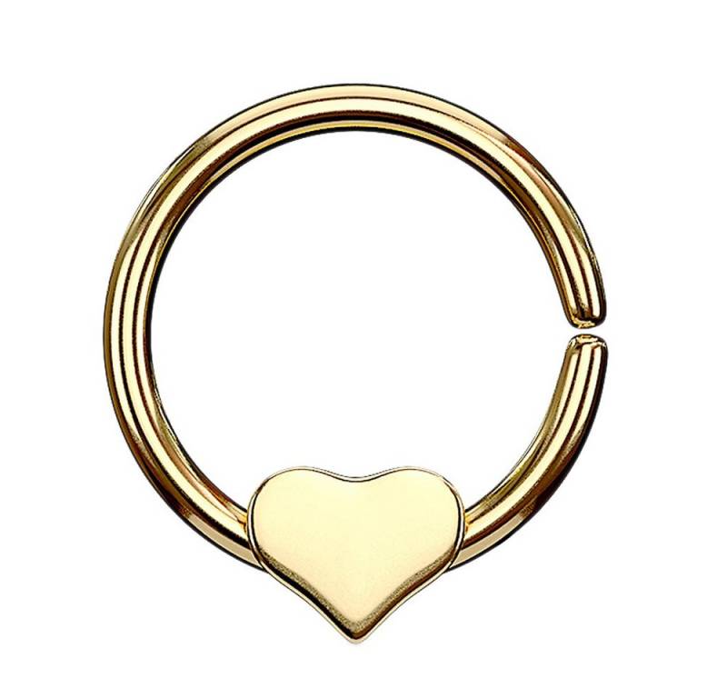 Taffstyle Nasenpiercing Piercing Ring Continuous mit beweglichem Herz, Ring Ohr Nase Lippe Brust Intim Septum Tragus Helix Hufeisen Horseshoe von Taffstyle