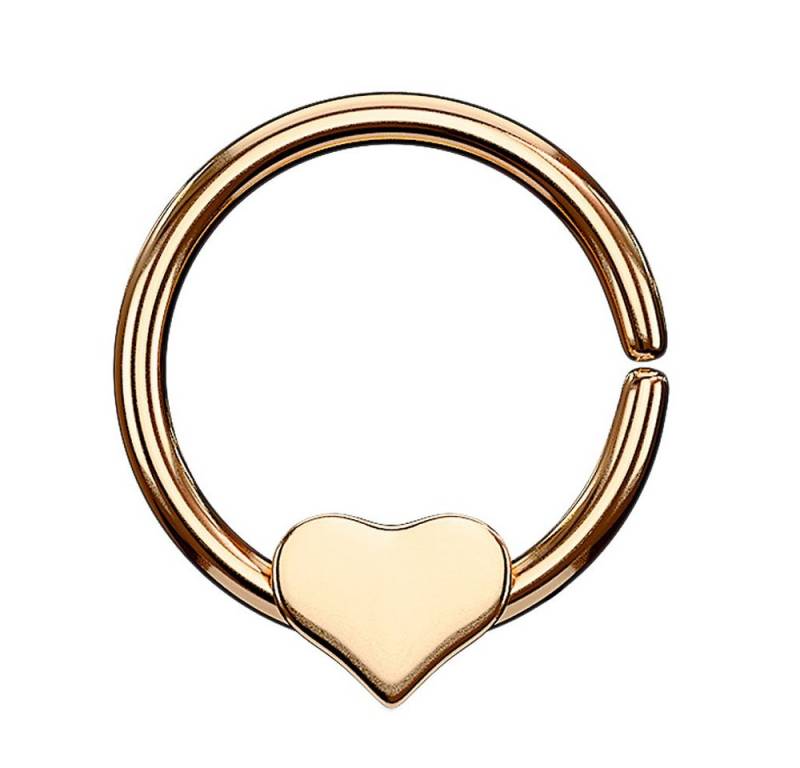 Taffstyle Nasenpiercing Piercing Ring Continuous mit beweglichem Herz, Ring Ohr Nase Lippe Brust Intim Septum Tragus Helix Hufeisen Horseshoe von Taffstyle