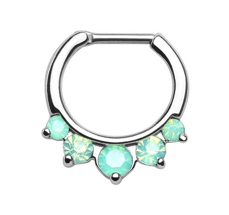 Taffstyle Nasenpiercing Piercing Ring Opal Stein Spitzen Septum Tragus, Universal Ring Opal Helix Ohr Nase Lippe Brust Intim Scharnier Clicker von Taffstyle
