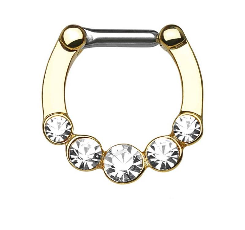 Taffstyle Nasenpiercing Piercing Ring Schild Clicker mit 5 Zirkonia, Septum Ohr Nase Lippe Brust Intim Nasenpiercing Nasenring Ohrpiercing von Taffstyle