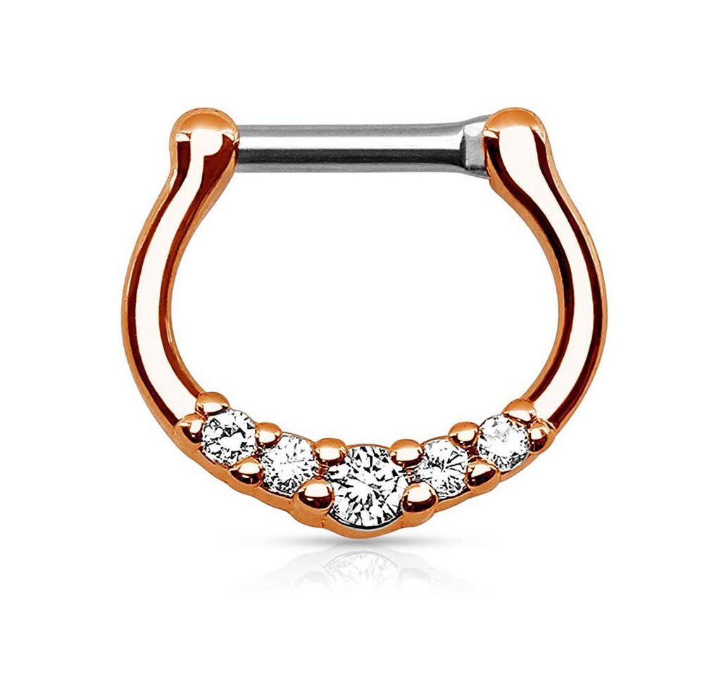 Taffstyle Nasenpiercing Piercing Ring Schild Clicker mit Strass Stein, Septum Ohr Nase Lippe Brust Intim Nasenpiercing Nasenring Ohrpiercing von Taffstyle