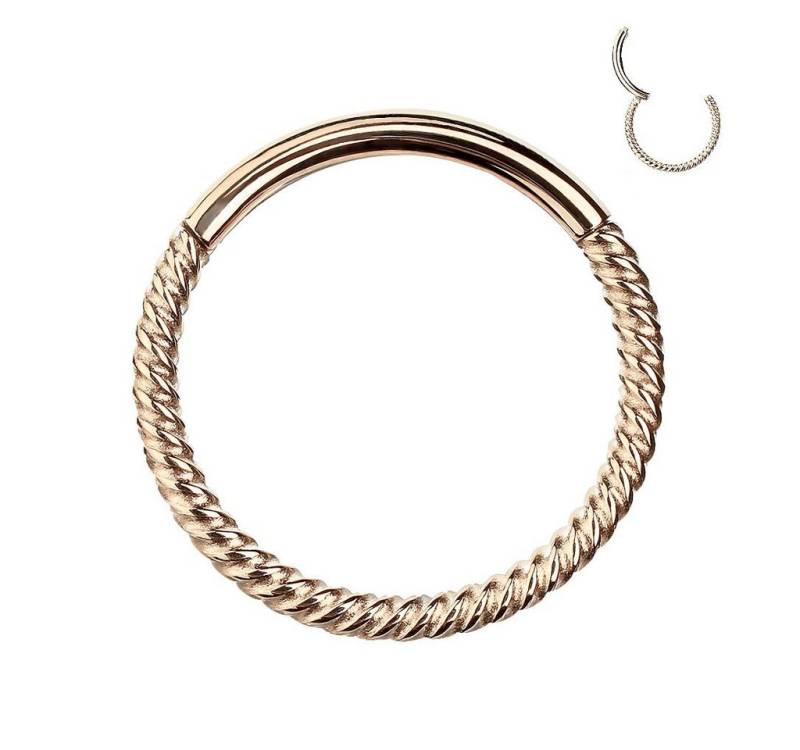 Taffstyle Nasenpiercing Piercing Segmentring Scharnier Clicker geflochten, Septum Helix Lippe Nasenring Nasenpiercing Ohrpiercing Filigran Dünn von Taffstyle