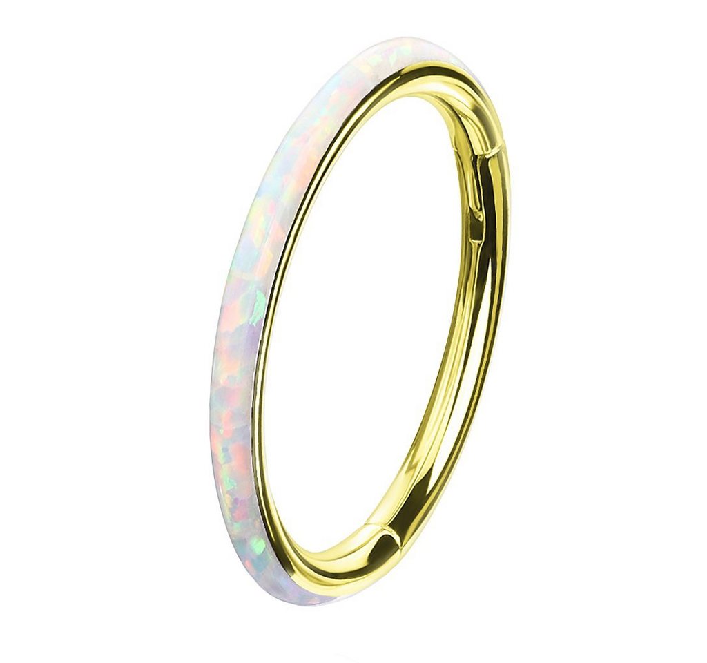 Taffstyle Nasenpiercing Piercing Segmentring Scharnier Clicker mit Opal, Septum Helix Lippe Nasenring Nasenpiercing Ohrpiercing Filigran Creole Taffstyle Nasenpiercing Piercing Segmentring Scharnier Clicker mit Opal, Septum Helix Lippe Nasenring Nasenpiercing Ohrpiercing Filigran Creole von Taffstyle