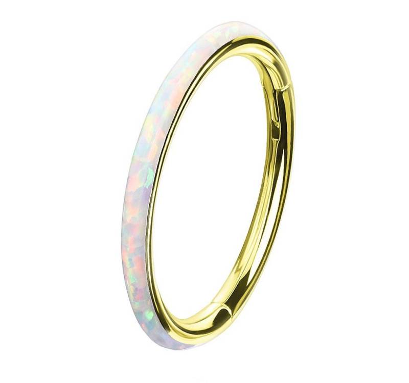 Taffstyle Nasenpiercing Piercing Segmentring Scharnier Clicker mit Opal, Septum Helix Lippe Nasenring Nasenpiercing Ohrpiercing Filigran Creole von Taffstyle