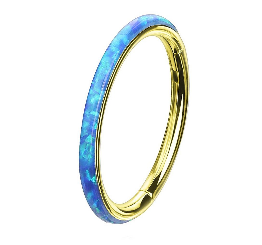 Taffstyle Nasenpiercing Piercing Segmentring Scharnier Clicker mit Opal, Septum Helix Lippe Nasenring Nasenpiercing Ohrpiercing Filigran Creole Taffstyle Nasenpiercing Piercing Segmentring Scharnier Clicker mit Opal, Septum Helix Lippe Nasenring Nasenpiercing Ohrpiercing Filigran Creole von Taffstyle