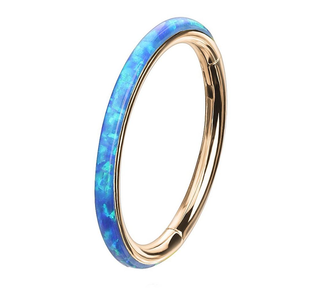 Taffstyle Nasenpiercing Piercing Segmentring Scharnier Clicker mit Opal, Septum Helix Lippe Nasenring Nasenpiercing Ohrpiercing Filigran Creole Taffstyle Nasenpiercing Piercing Segmentring Scharnier Clicker mit Opal, Septum Helix Lippe Nasenring Nasenpiercing Ohrpiercing Filigran Creole von Taffstyle