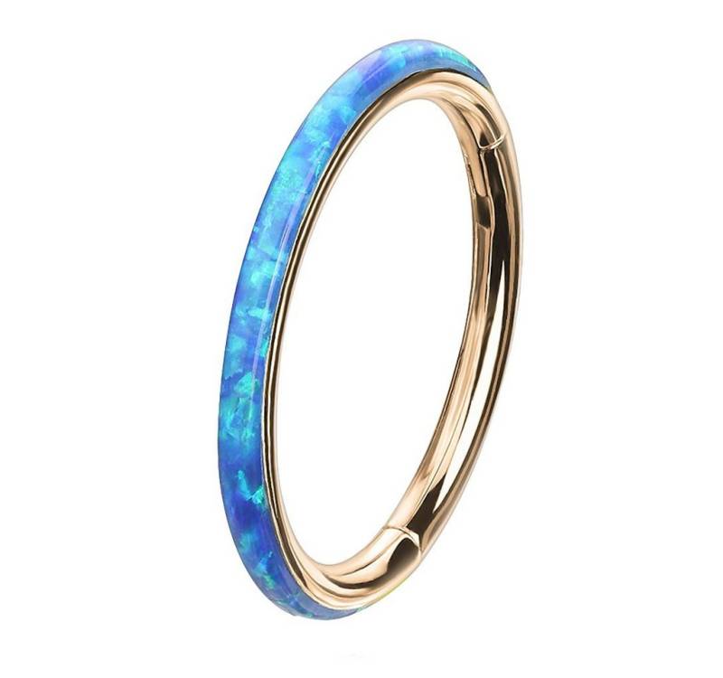 Taffstyle Nasenpiercing Piercing Segmentring Scharnier Clicker mit Opal, Septum Helix Lippe Nasenring Nasenpiercing Ohrpiercing Filigran Creole von Taffstyle