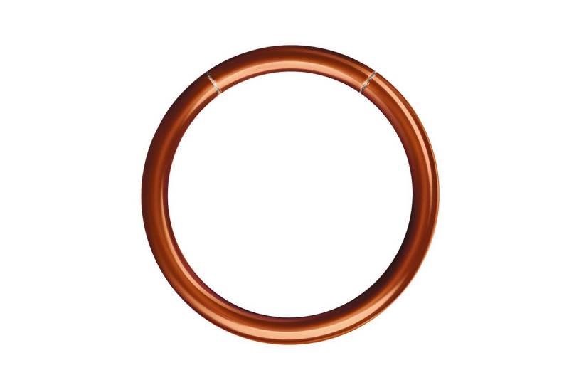 Taffstyle Nasenpiercing Segment Septum Universal Piercing Smooth Ohr Ring Coffee 1,6 x 12mm (Orbital Brust Intim Piercing Ring Lippenbädchen Lippenpiercing), Nasenpiercing Nasenring Nase Ohrpiercing Cartilage Ohr Tragus Helix von Taffstyle