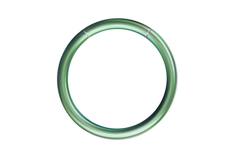 Taffstyle Nasenpiercing Segment Septum Universal Piercing Smooth Ohr Ring Grün 1,6 x 12mm (Orbital Brust Intim Piercing Ring Lippenbädchen Lippenpiercing), Nasenpiercing Nasenring Nase Ohrpiercing Cartilage Ohr Tragus Helix von Taffstyle